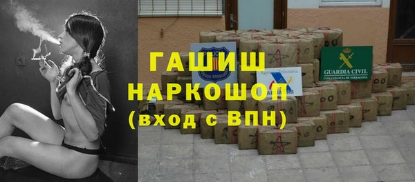 ешки Бородино