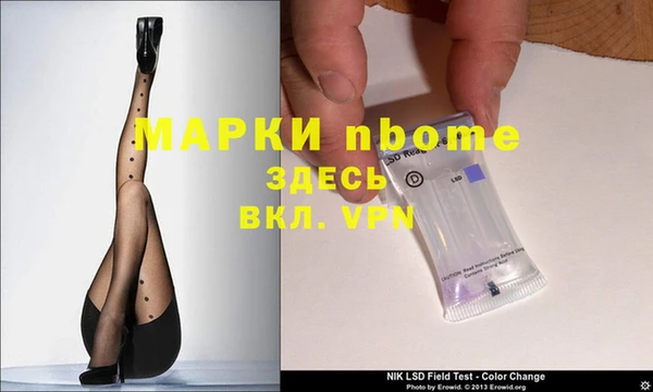 ешки Бородино