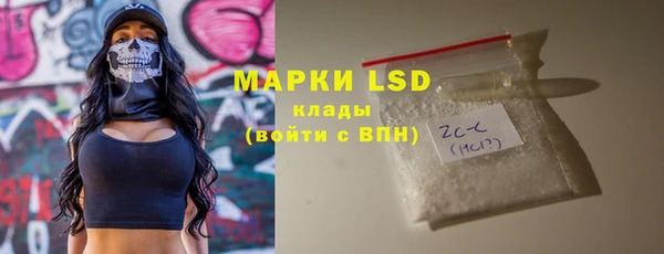 ешки Бородино