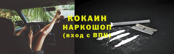ешки Бородино