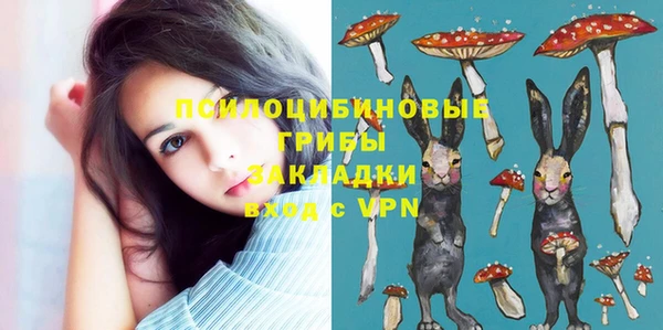 ешки Бородино
