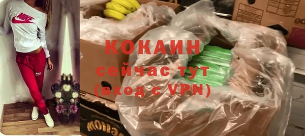 ешки Бородино