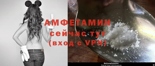 ешки Бородино