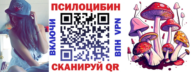 Купить закладки  Чёрмоз  Галлюциногенные грибы мухоморы 